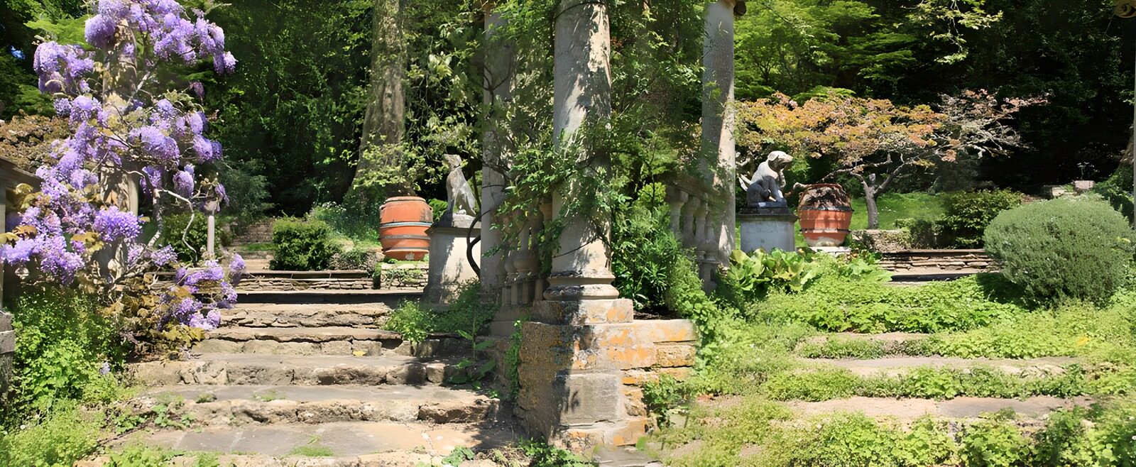 TPDE98859: Treppen in einem Park mit hohen Bäumen und blühenden Pflanzen