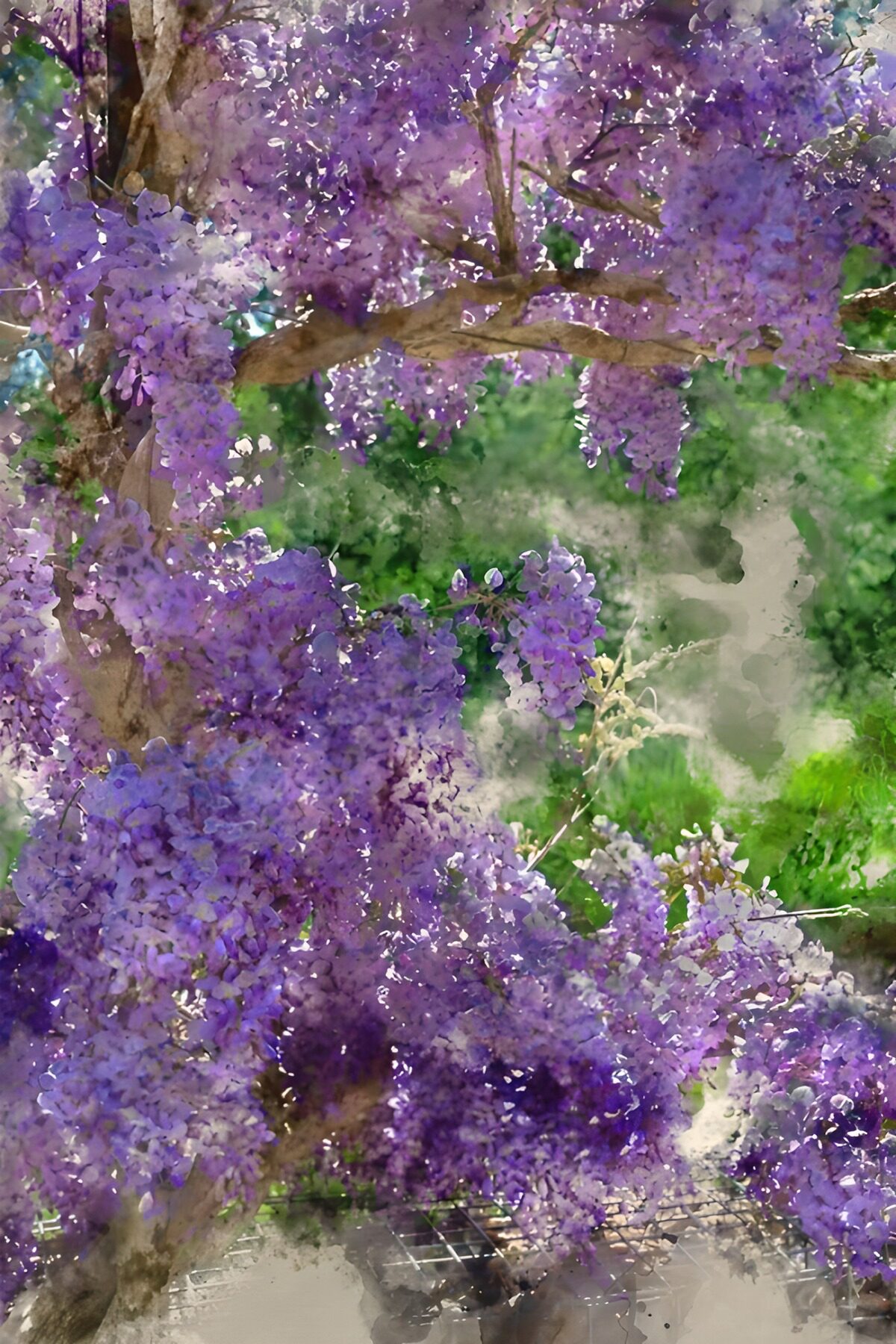 TPDE14038: Wisteria im Blütenrausch