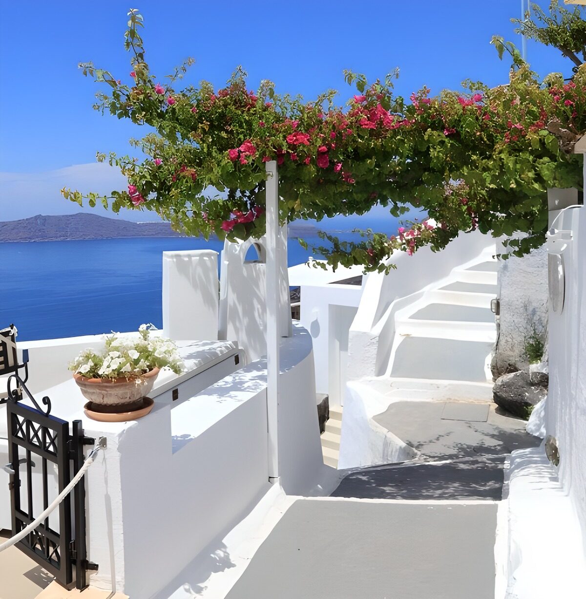 TPDE80131: Wunderschöner Weg mit Bougainvillea
