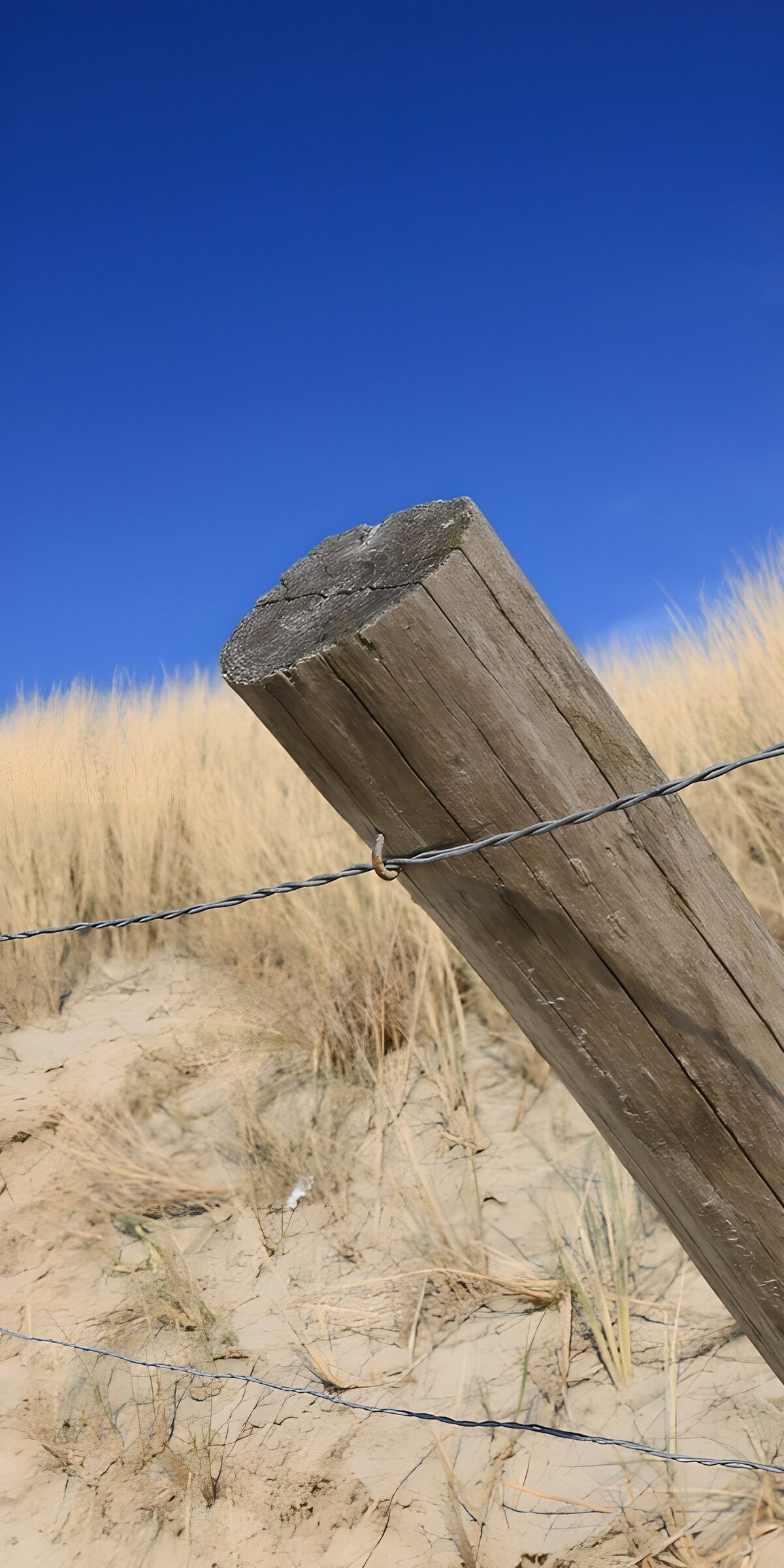 TPDE14153: Holzpfahl im Sand mit blauem Himmel