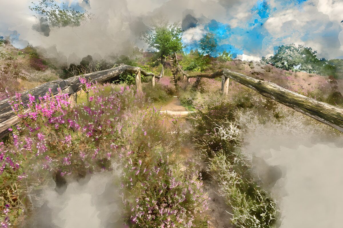 TPDE18355: Blumenweg durch die Heidelandschaft