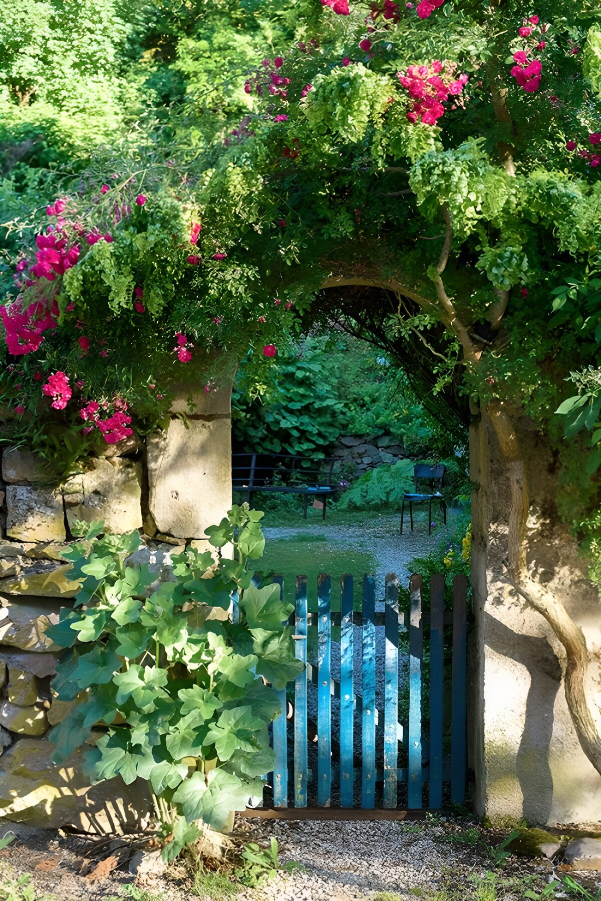 TPDE34728: Blaues Gatter und Bougainvillea