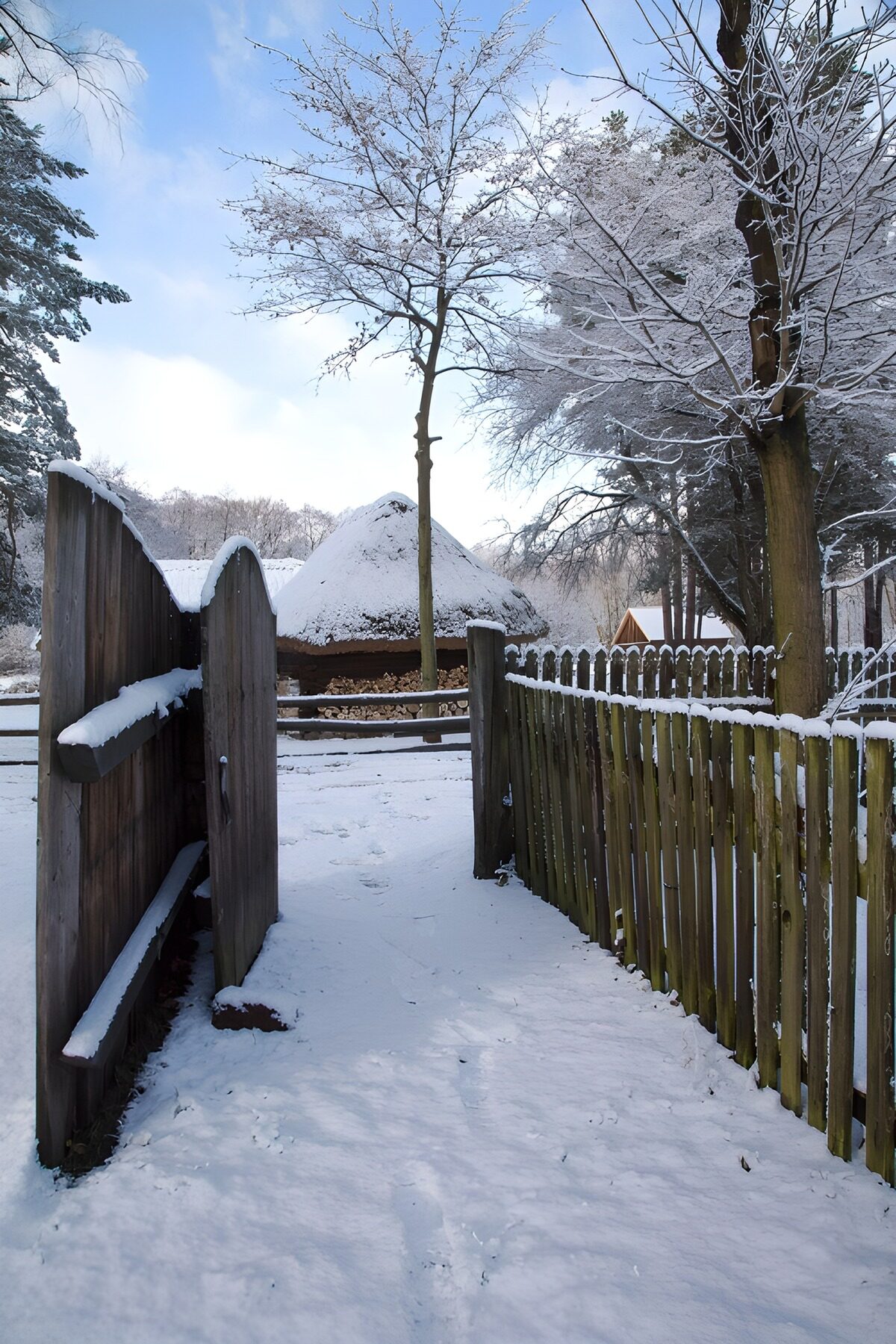 TPDE79413: Winterlicher Weg zur Hütte