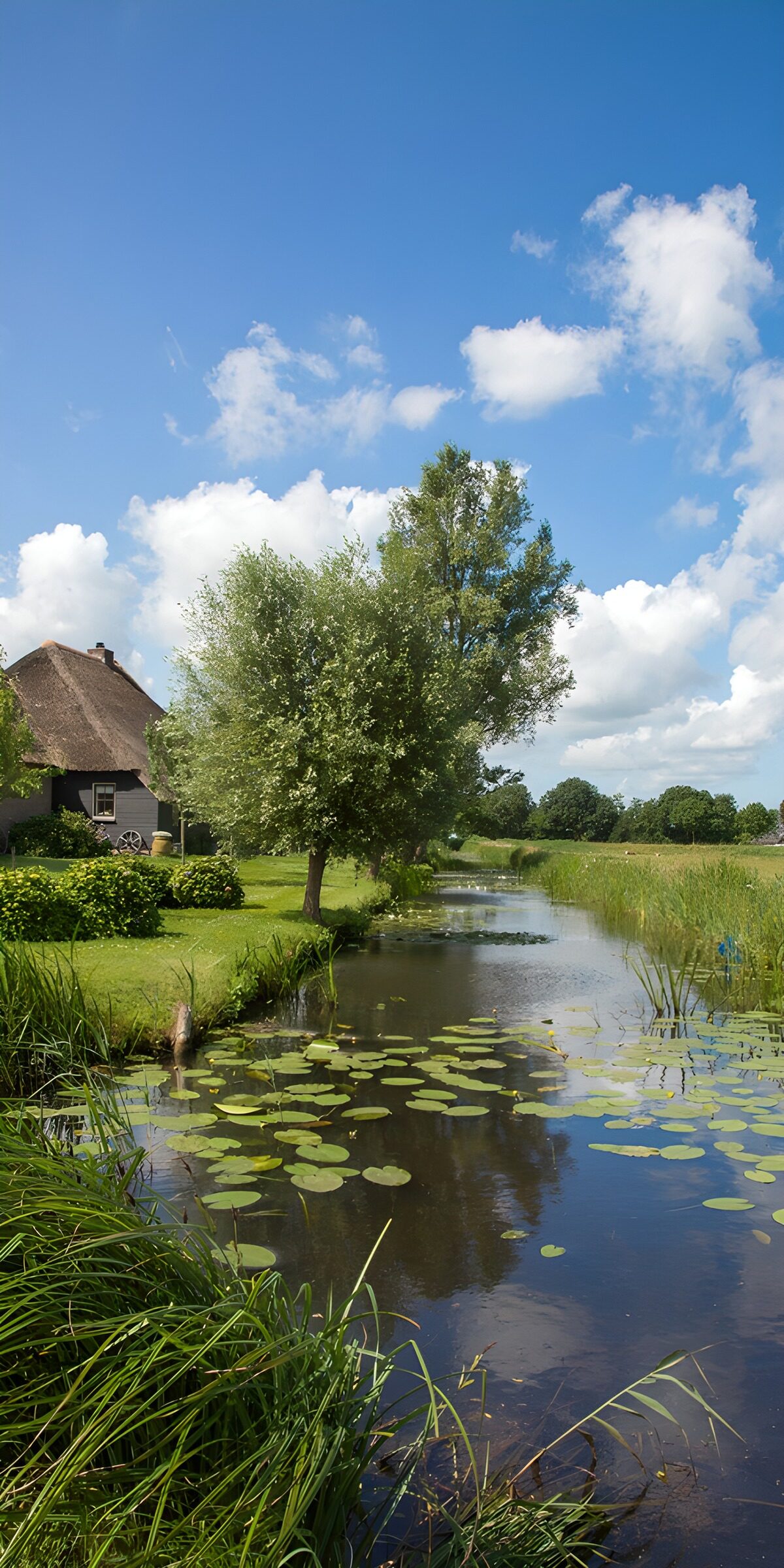 TPDE54021: Idylle am Wasser mit blauem Himmel