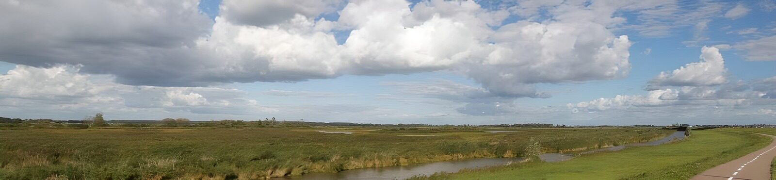 TPDE80814: niederländische Polderlandschaft Zeewolde 1
