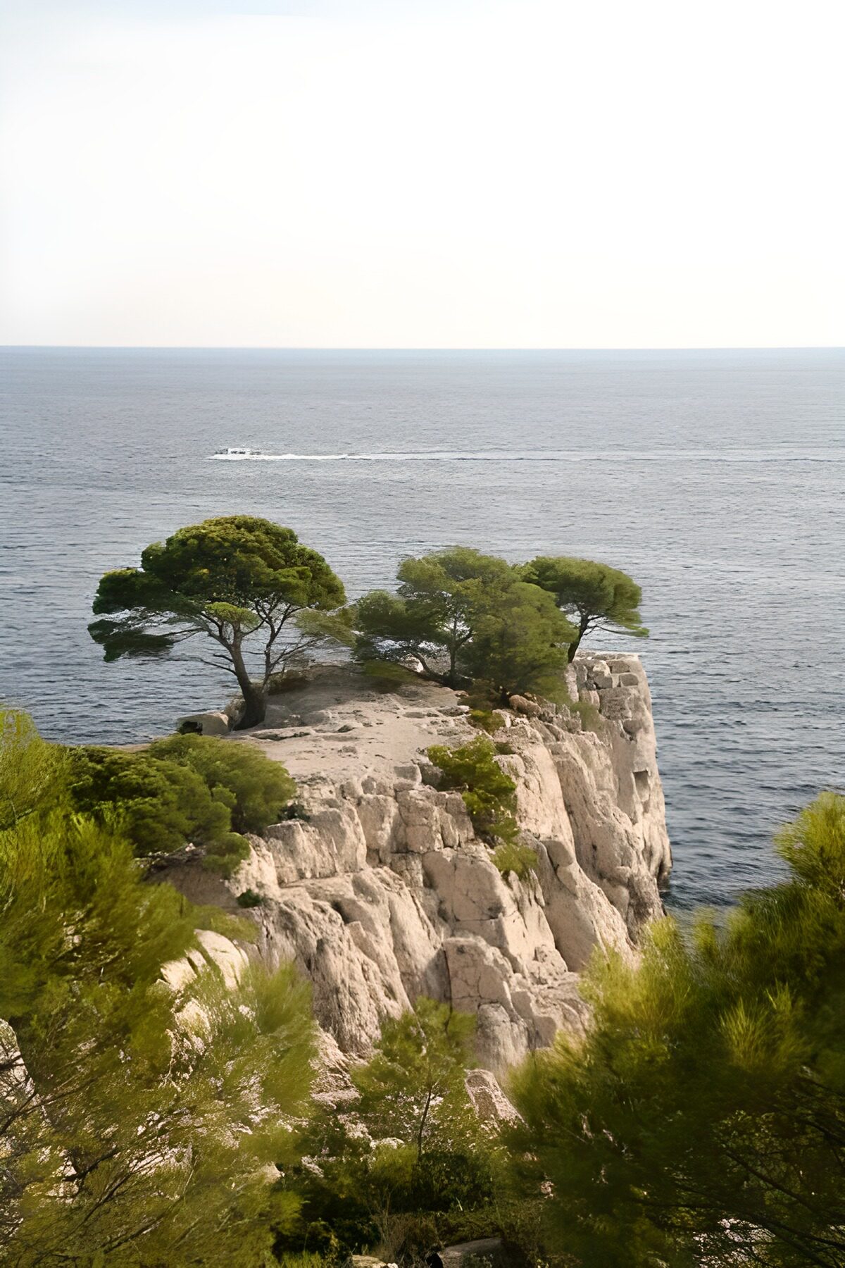 TPDE18787: Fjord-Landschaft in Cassis (Côte d'Azur)