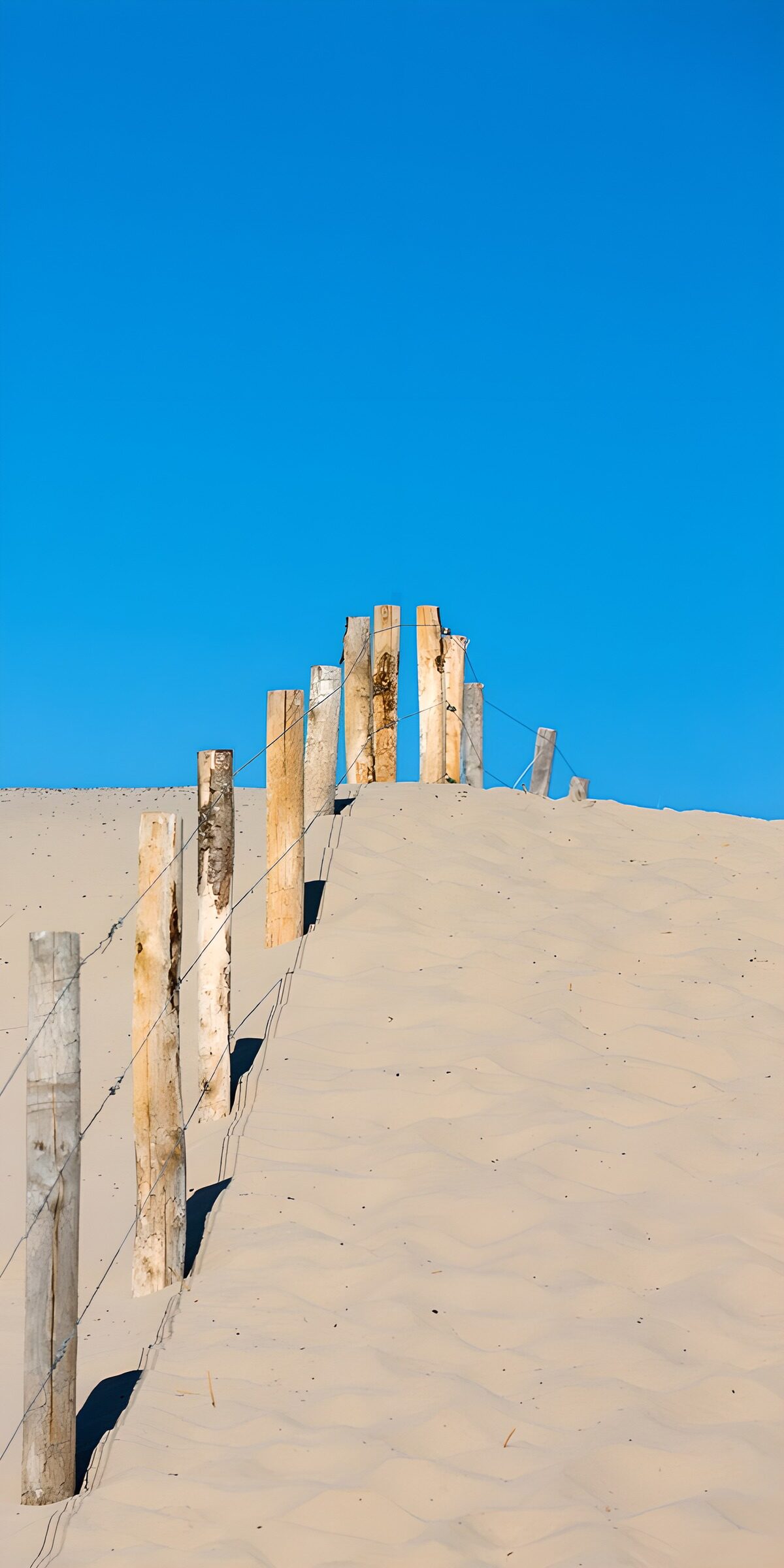 TPDE65904: Sandweg mit Holzpfählen und blauen Himmel