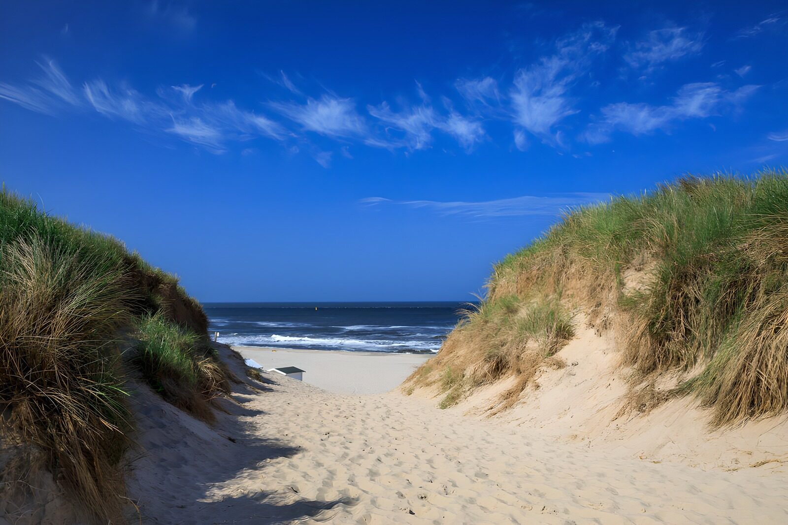 TPDE74160: Traumhafter Strandblick zwischen Dünen