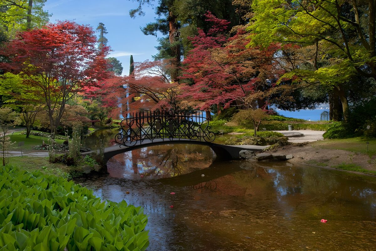 eine Brücke über einen Teich im japanischen Garten