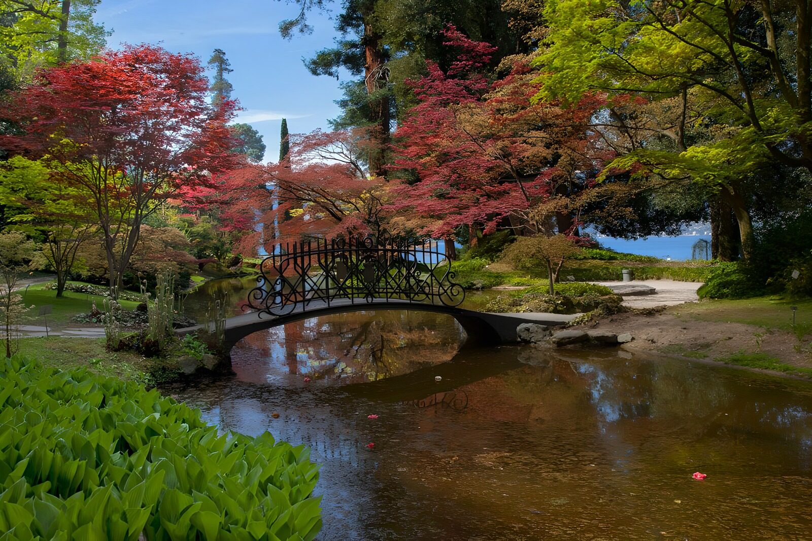 TPDE15330: eine Brücke über einen Teich im japanischen Garten