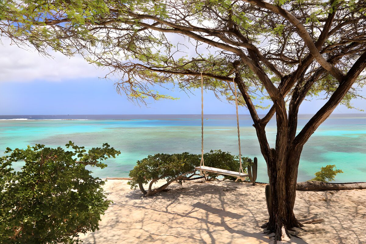 TPDE59653: Schaukel unter dem Baum am Strand