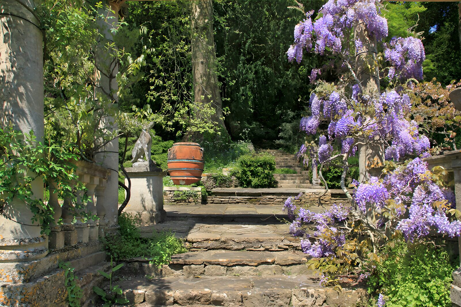 TPDE44625: Ein schöner Gartenweg im Frühling