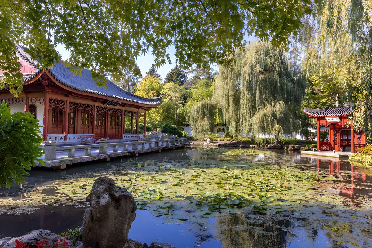 TPDE61775: Chinesischer Garten mit Teich und Pavillon
