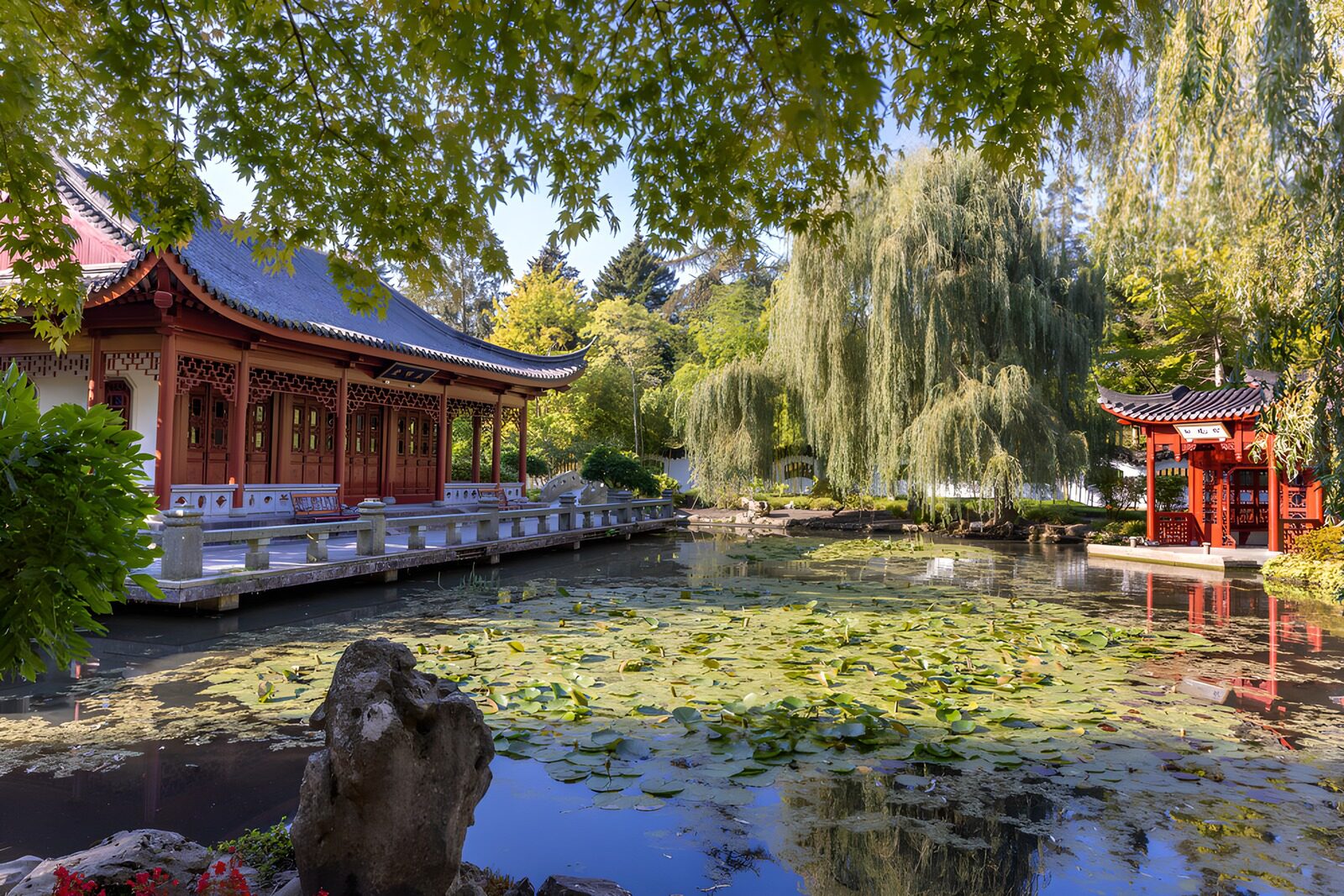 TPDE61775: Chinesischer Garten mit Teich und Pavillon