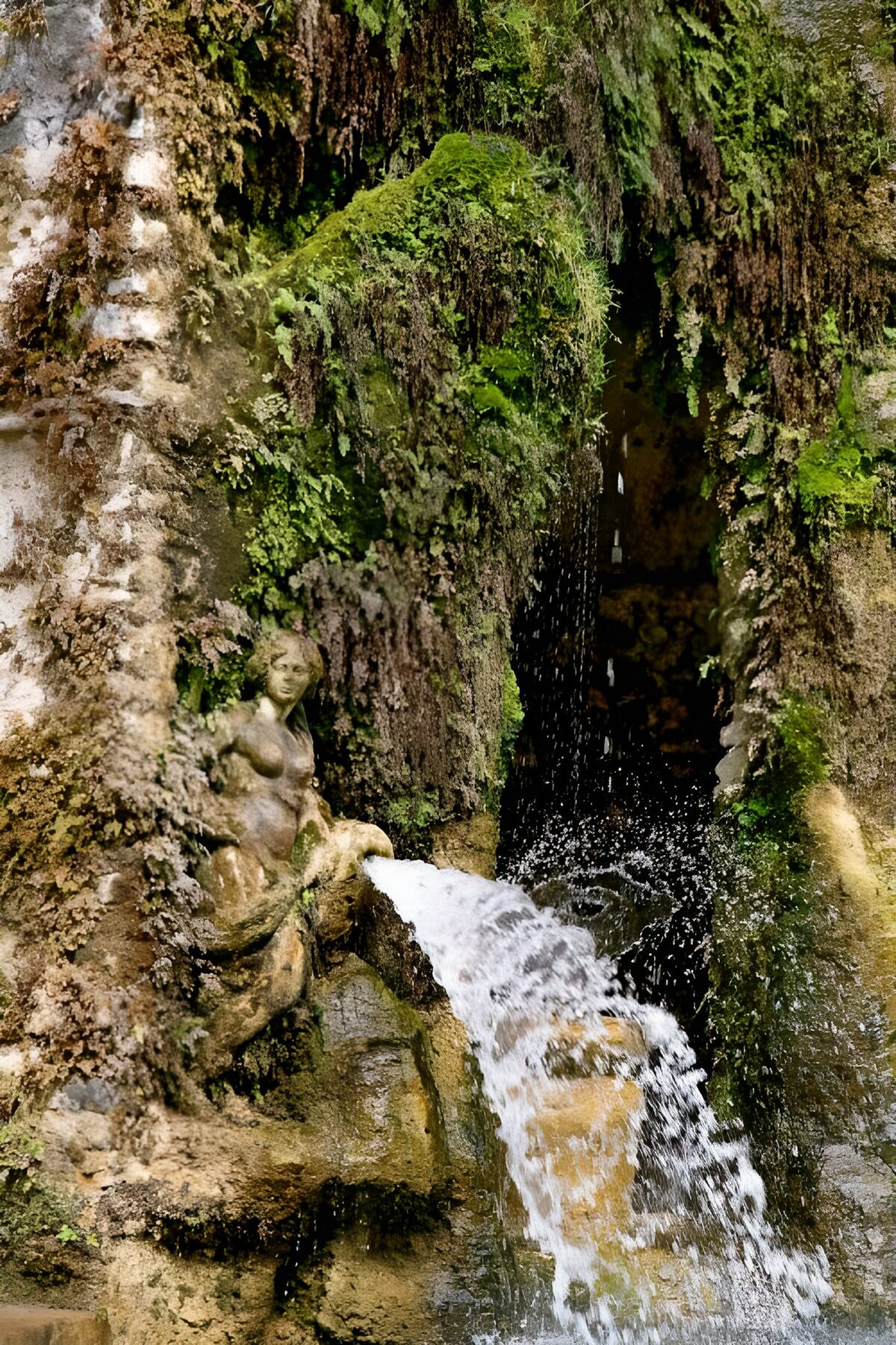 TPDE34671: Statue einer Frau und einer Schildkröte, die Wasser spritzt an einem Wasserfall und ein großer Fisch, der Wasser sprüht unten an
