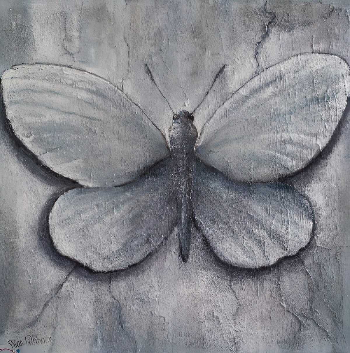 TPDE81761: Schmetterling auf grauem Hintergrund