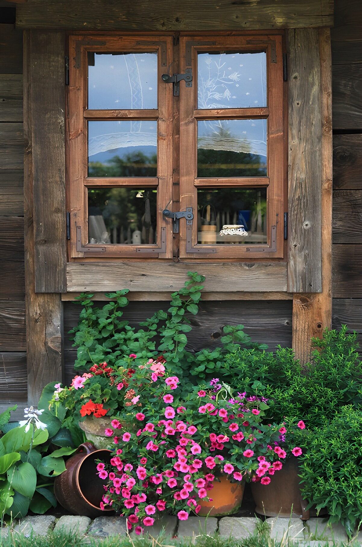 TPDE26056: Blühendes Fenster im Grünen