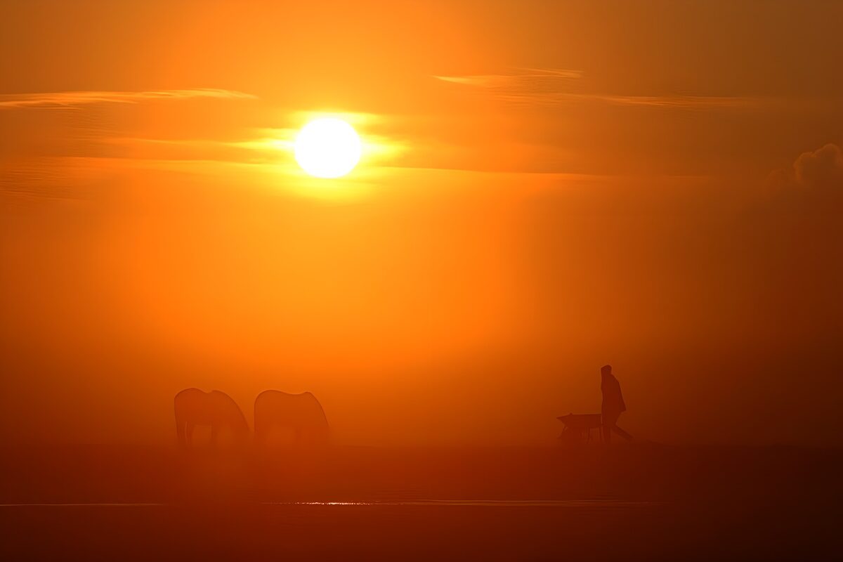 TPDE22188: ein Bauer bringt seinen Pferden Futter bei Sonnenuntergang 