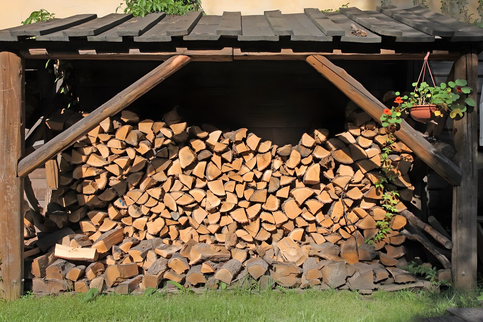 TPDE56006: gelagertes Kaminholz für den Winter
