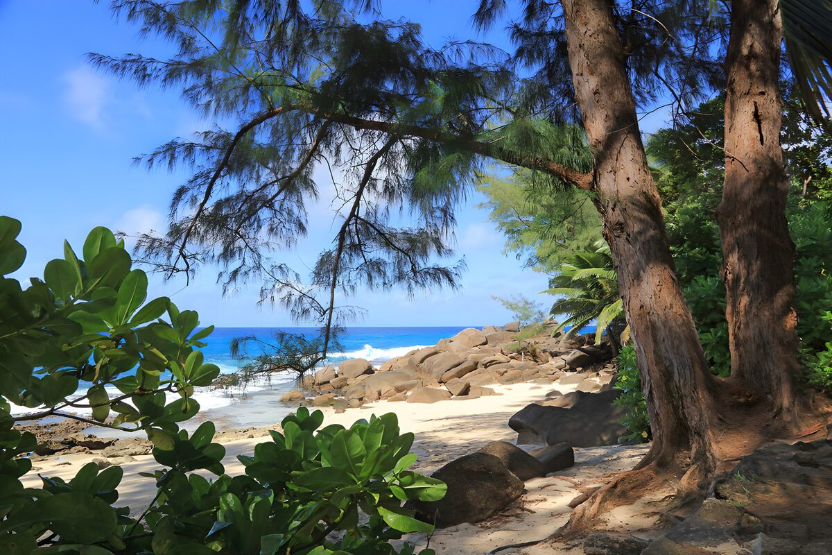 TPDE71936: Tropisches Paradies am Strand