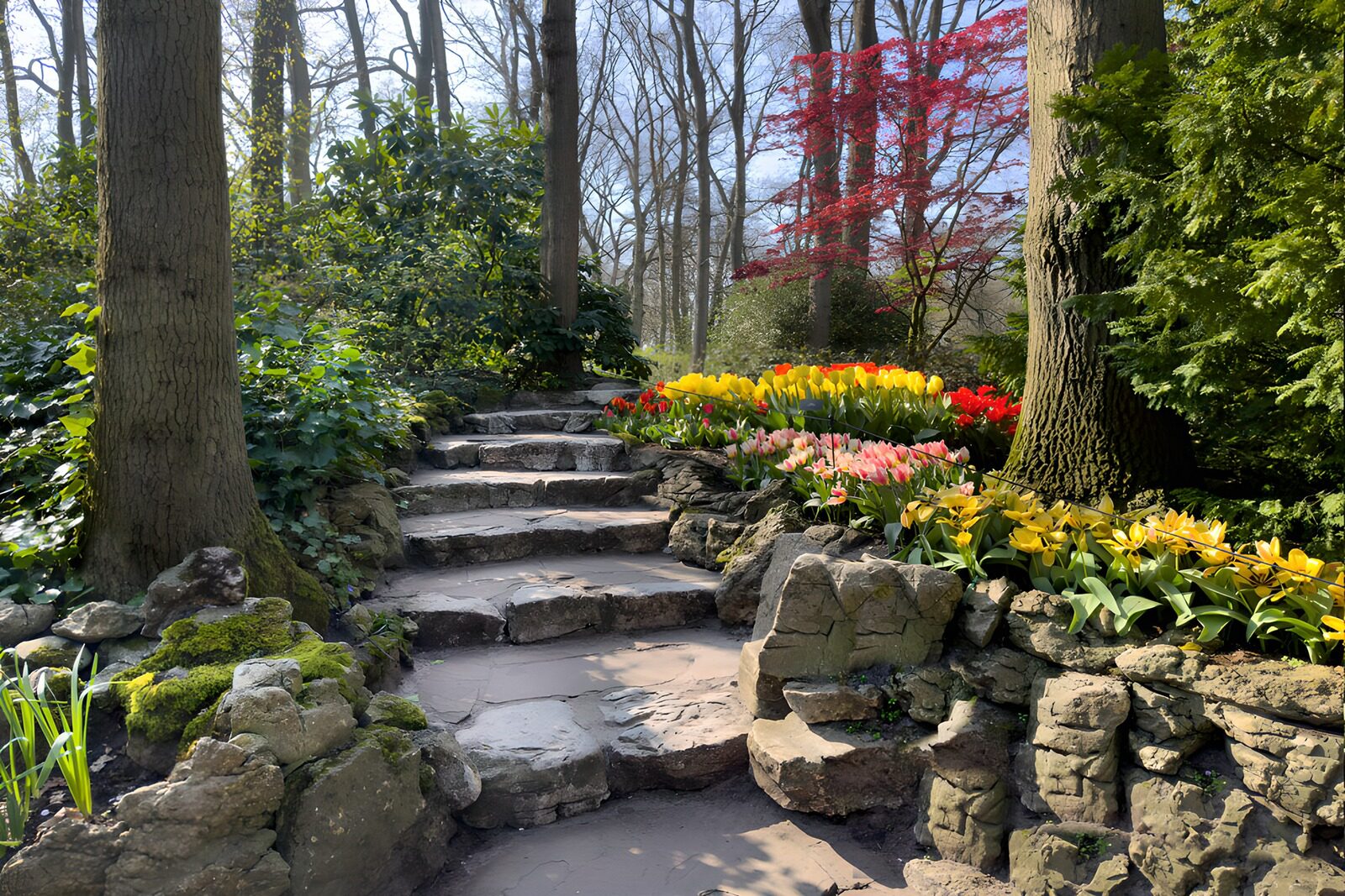 TPDE78973: Garten im Keukenhof mit Gartenpfad nach oben, umgeben von Blumen und Pflanzen