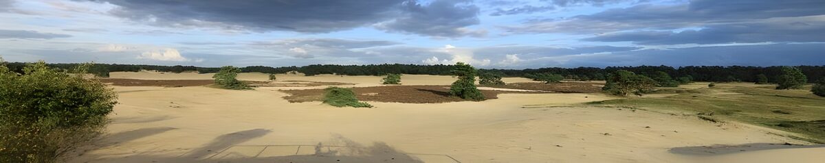 eine der Landschaften im niederländischen Nationalpark  'de Veluwe'