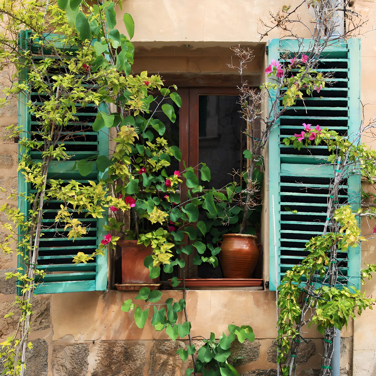 Fenster mit bunten Pflanzen und Töpfen