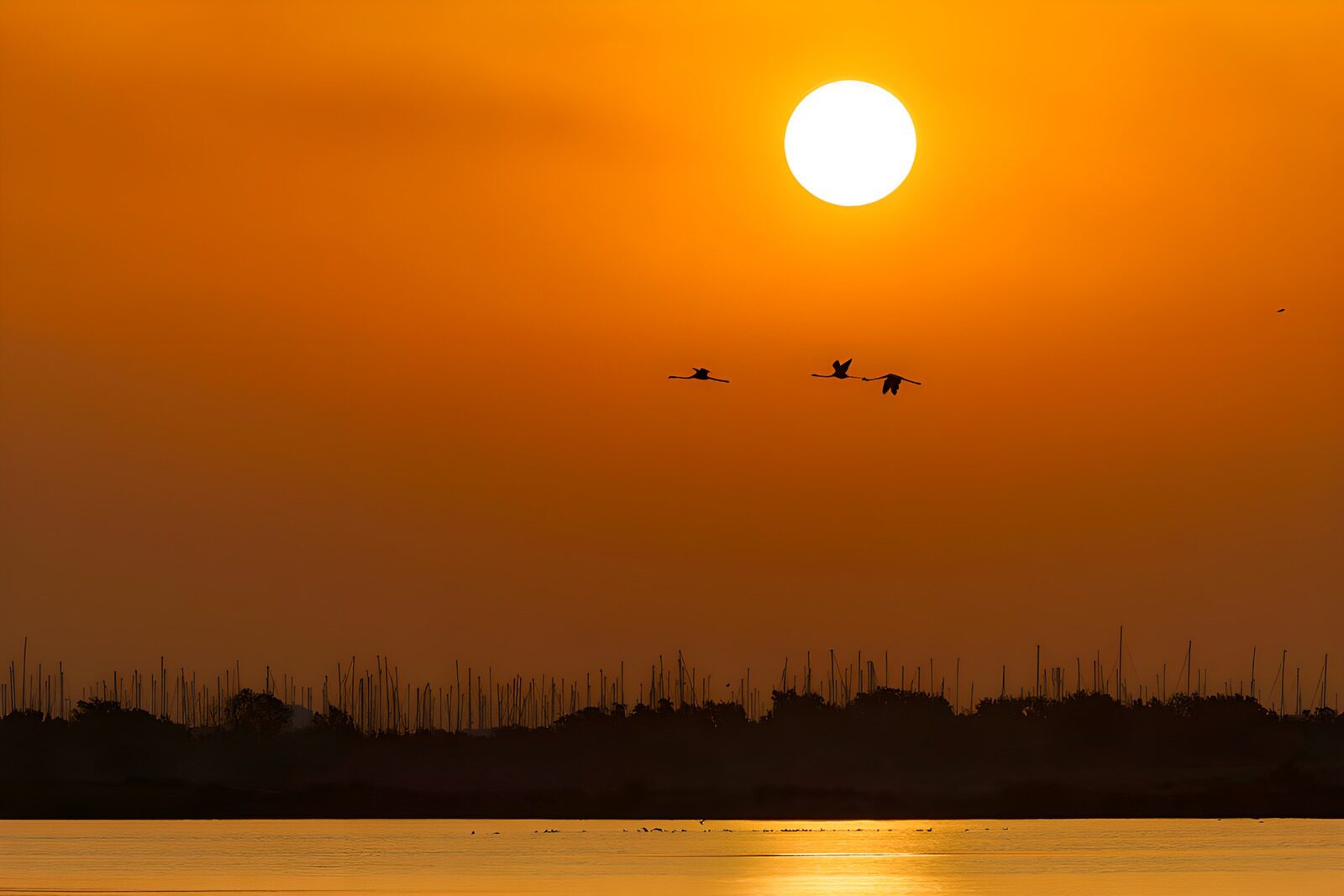 TPDE27221: Sonnenuntergang über dem Wasser