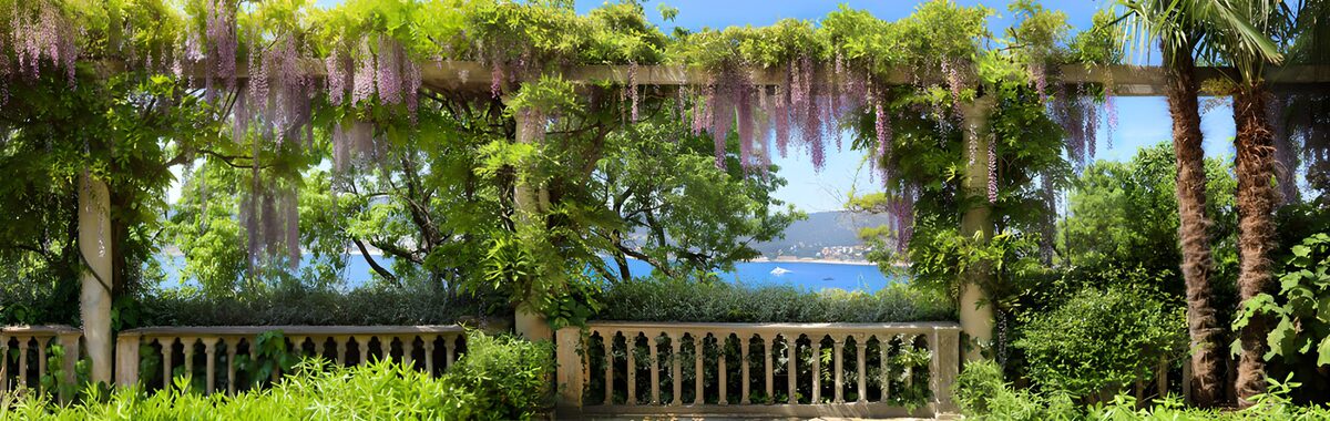 TPDE39627: Blühender Garten mit Meerblick