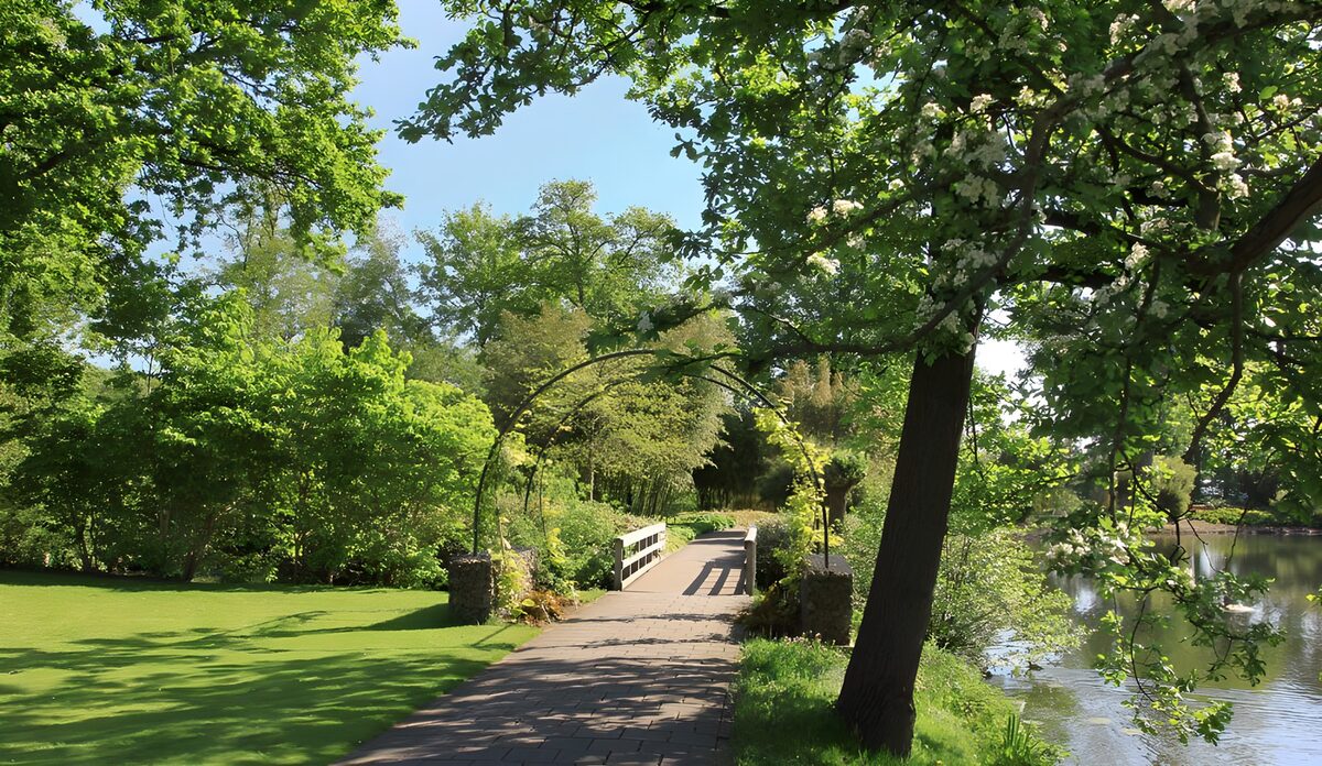 TPDE56571: Wanderweg am Teich entlang