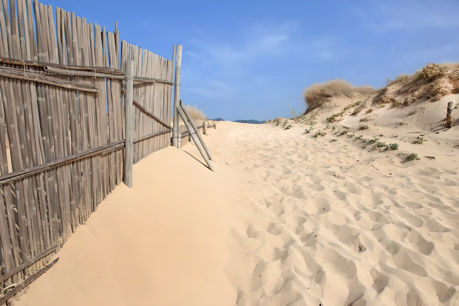 TPDE77070: Sandweg durch die Dünen
