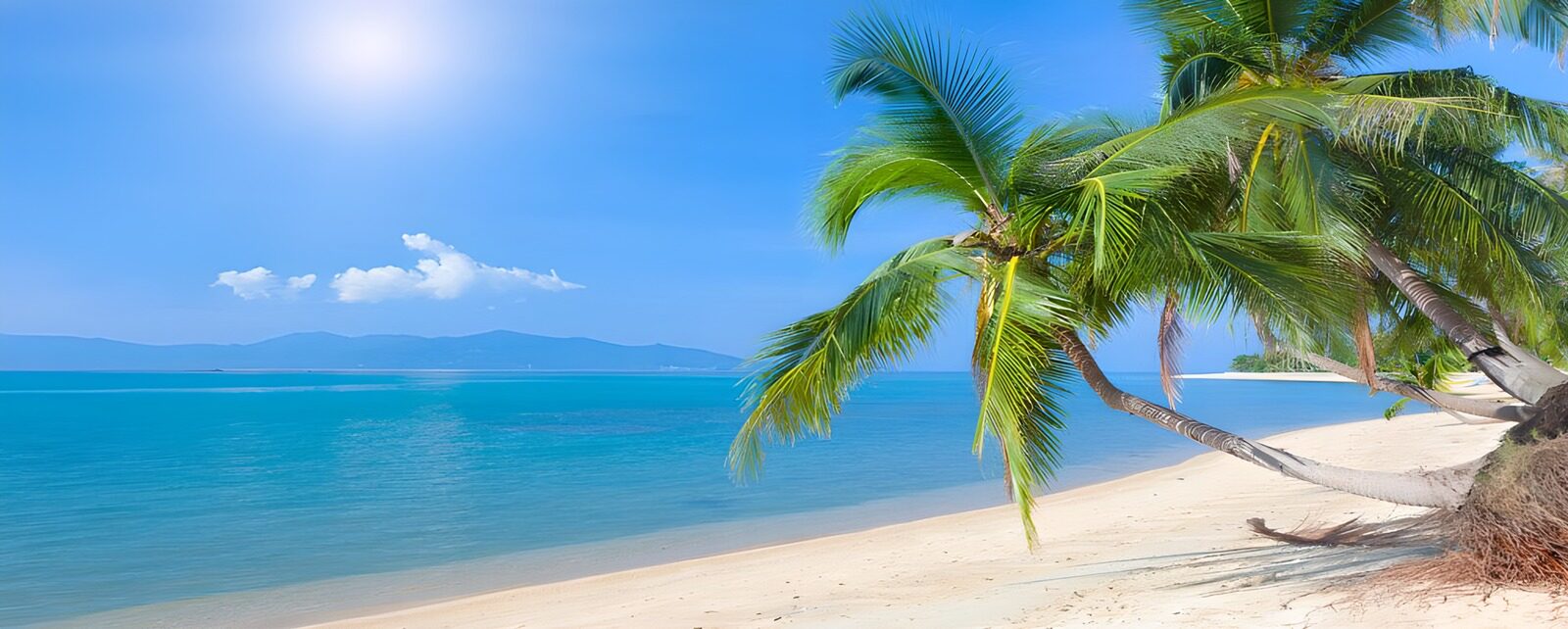 TPDE96541: Das blaue Wasser des Meeres, der weiße Strand, eine Palme! Luxus pur!