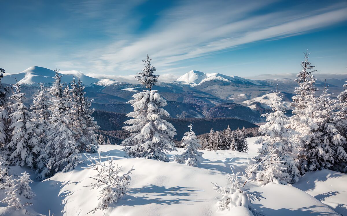 TPDE62919: Winterlandschaft in den Bergen