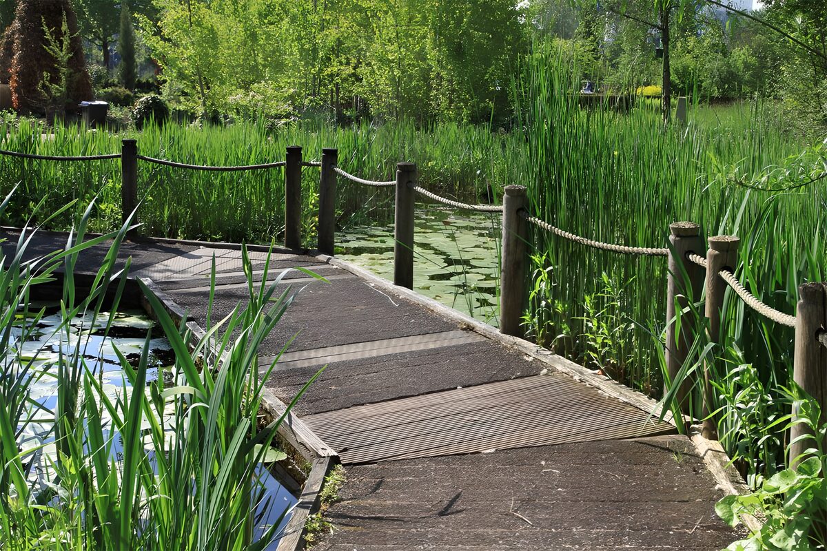 TPDE83193: Steg über einen Teich