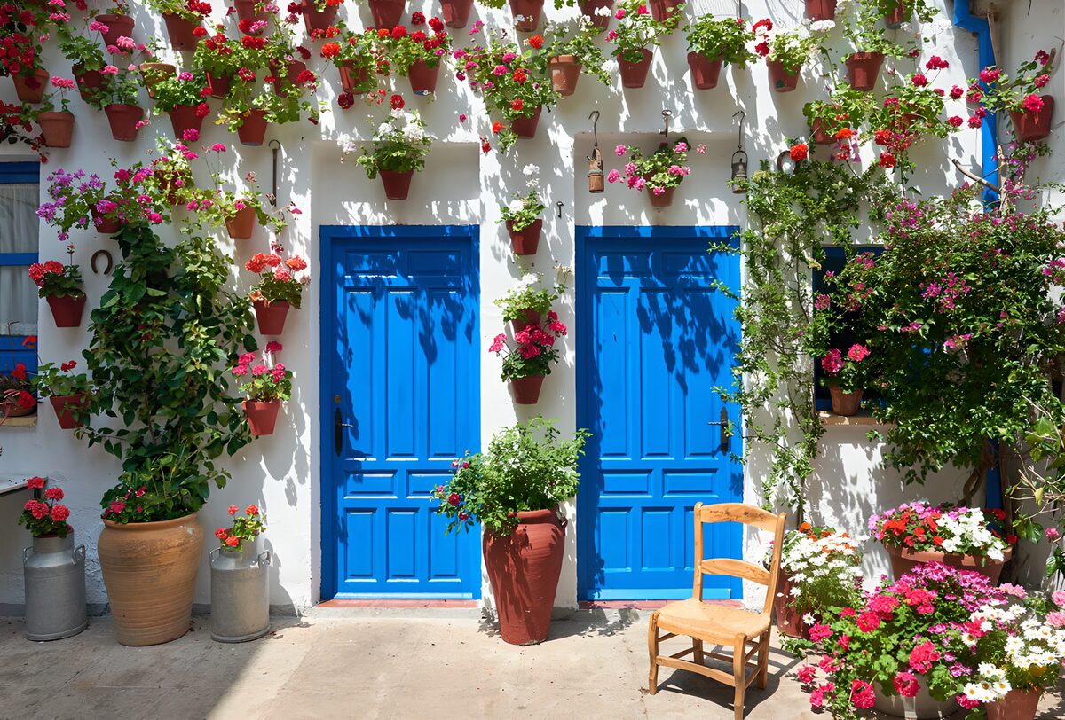 TPDE15192: Farbenfrohe Haustür mit Blumenpracht