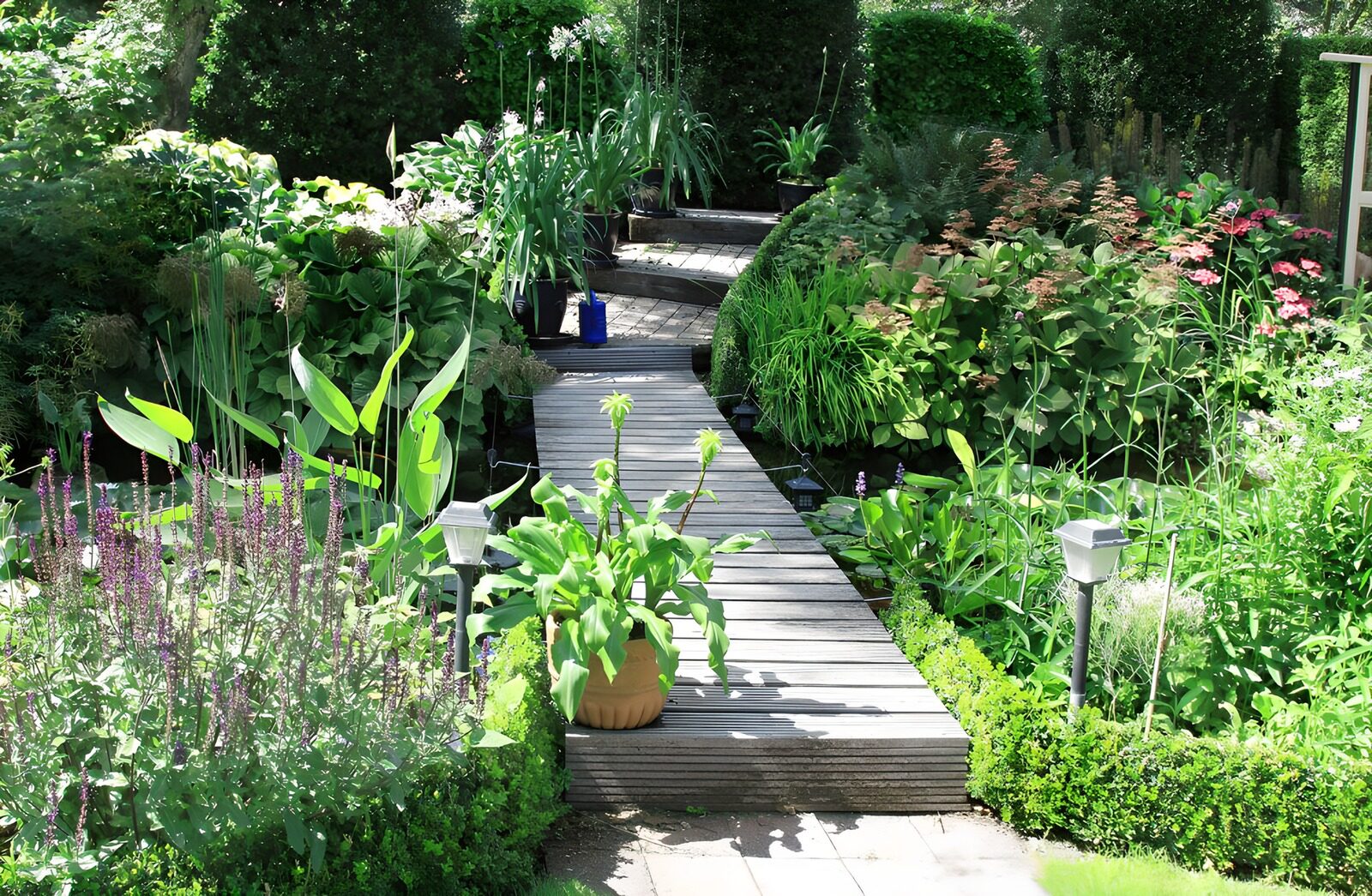 TPDE75829: Steg über dem Teich in einem botanischen Garten
