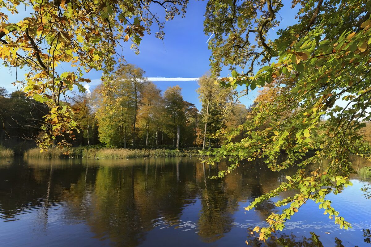 Teich bei Schloß Broekhuizen  in Leersum (NL)