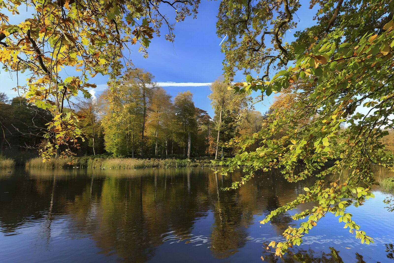 TPDE16587: Teich bei Schloß Broekhuizen  in Leersum (NL)