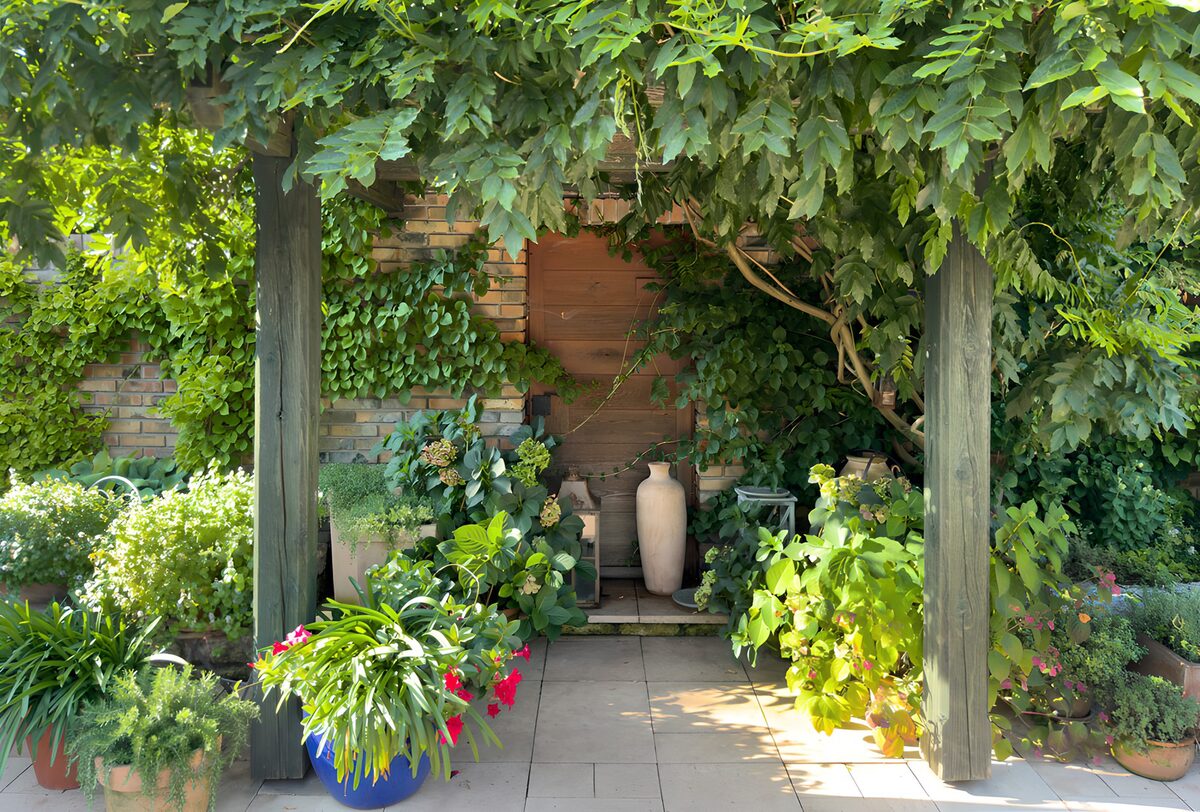 TPDE38667: Grüner Rückzugsort im Garten
