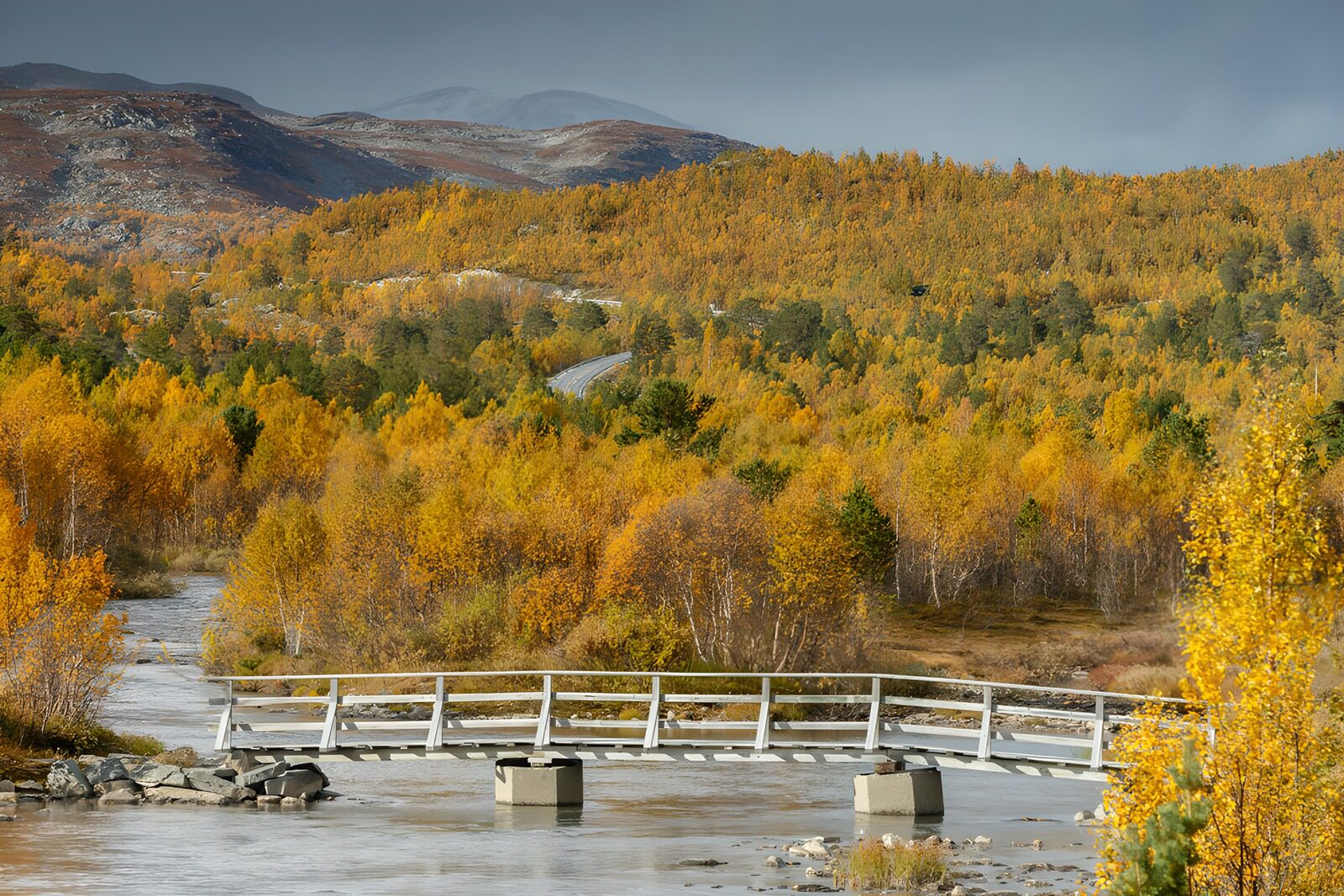 TPDE36162: Herbstlandschaft mit Holzbrücke