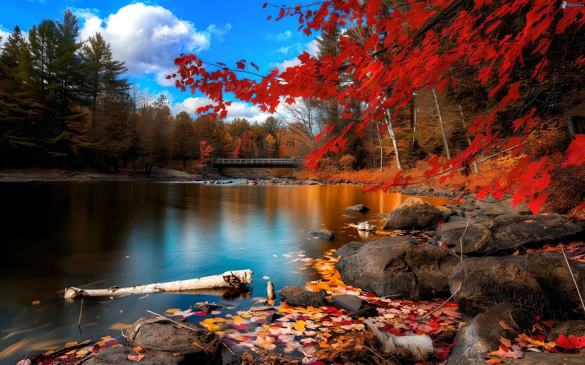 TPDE39677: Herbstliche Ruhe am See