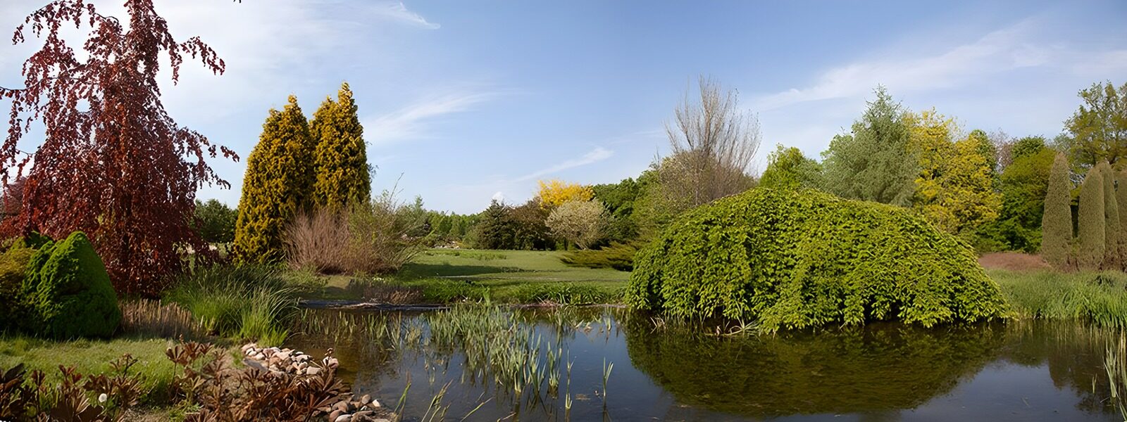 TPDE56862: Historischer Park in Warschau mit Teich in Warschau