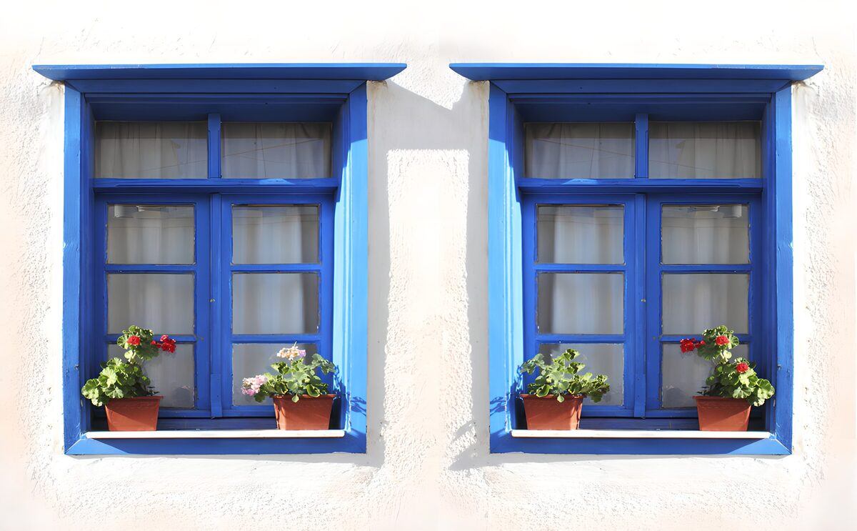 TPDE98937: Blaues Fensterpaar mit Blumen