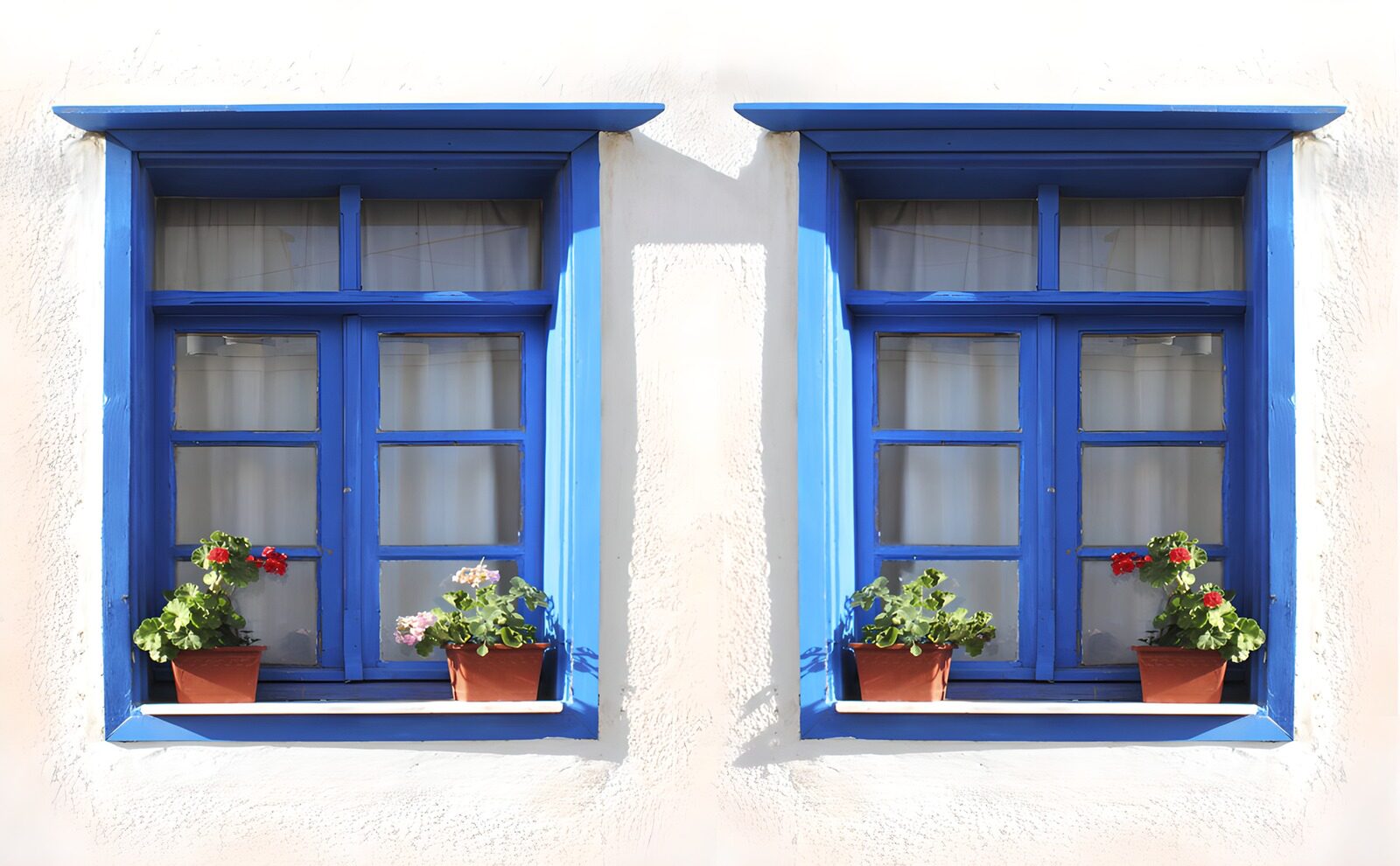 TPDE98937: Blaues Fensterpaar mit Blumen