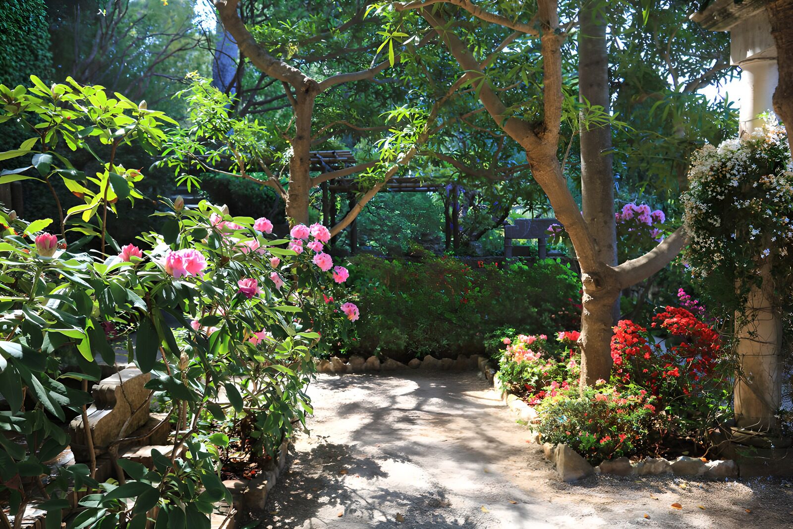 TPDE17653: Blühender Garten voller Farben und Licht