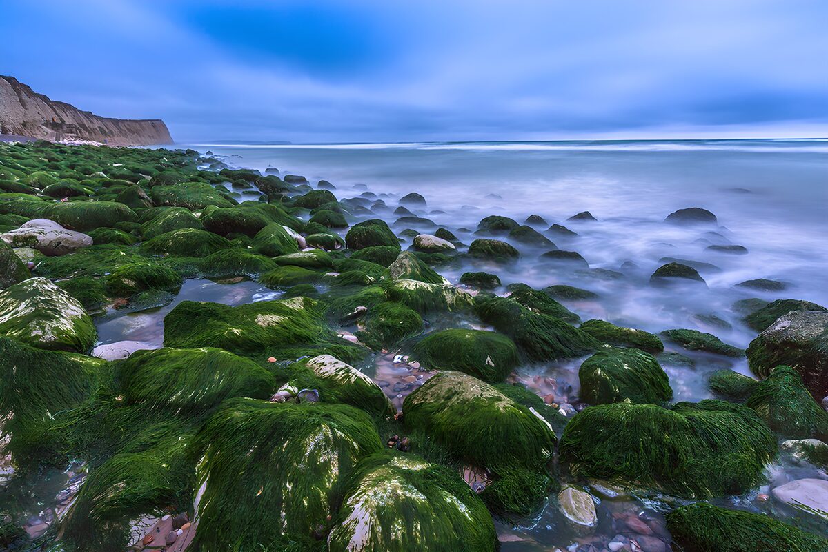 TPDE82449: Grüne Felsen am ruhigen Meer