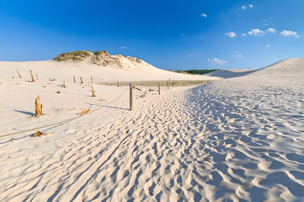 TPDE46181: Sandweg durch die Dünen