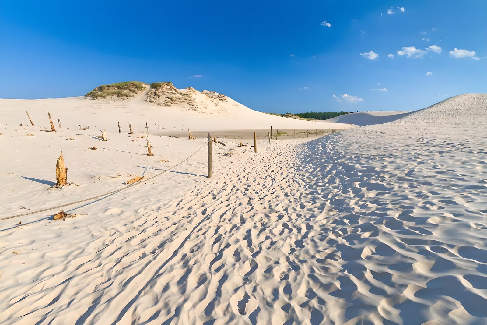 TPDE46181: Sandweg durch die Dünen