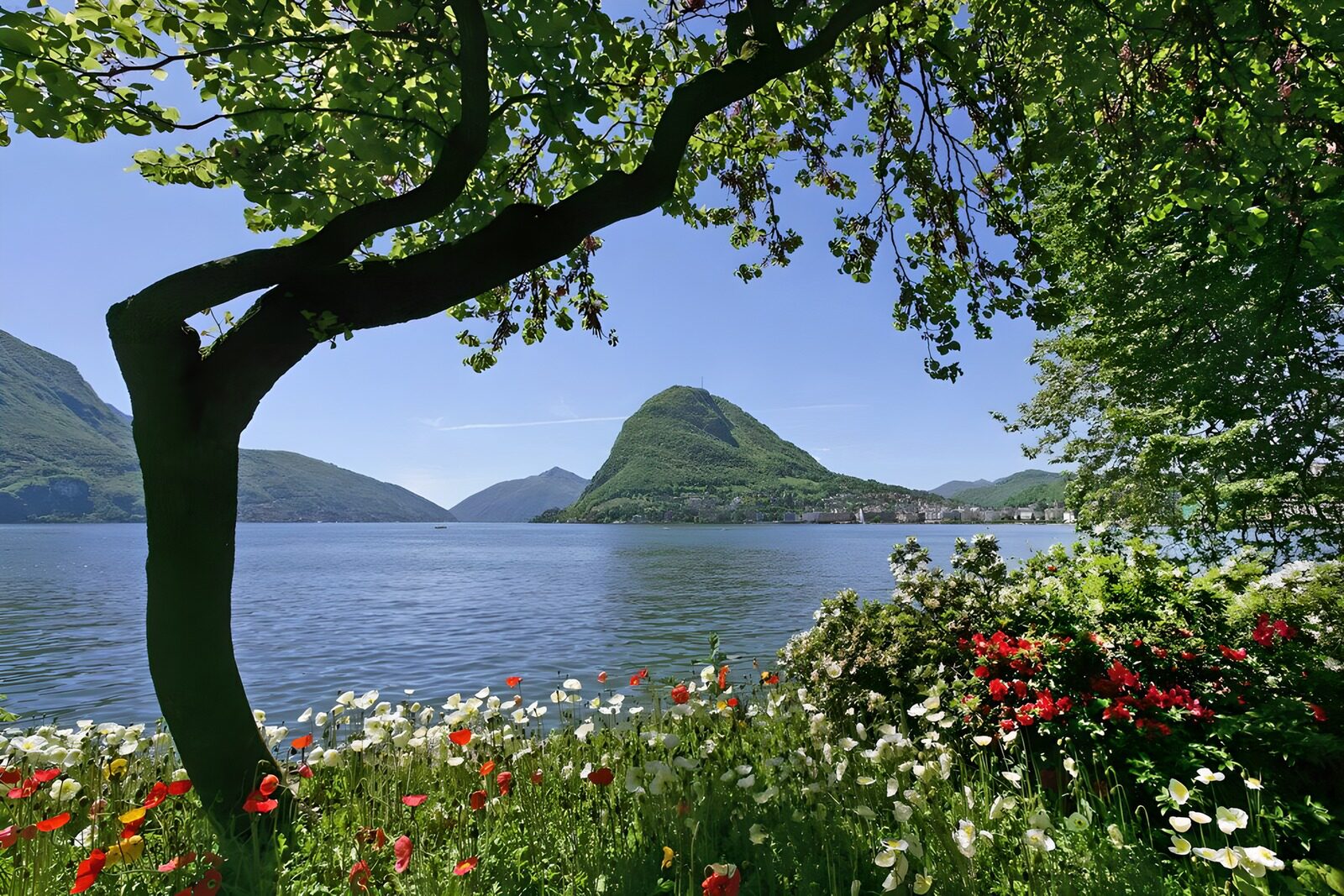 TPDE23700:  im Vordergrund rote und weiße Blüten, dann ein See und zum Schluß die Berge im Hintergrund! Märchenhaft!