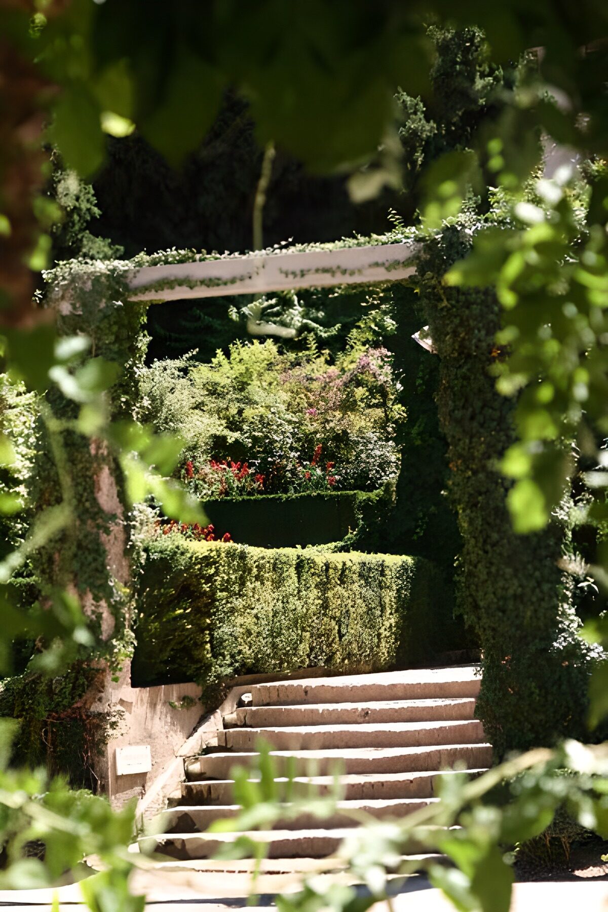 Treppe mit immergrünen Hecke und Spalier mit Efeu bepflanzt 